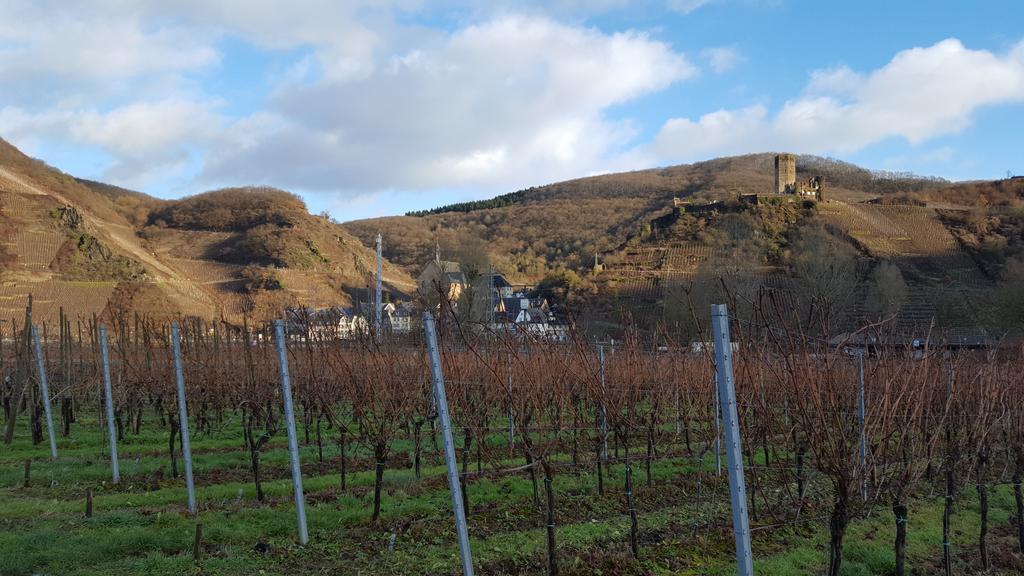 Ferienweingut Arnold Fuhrmann & Sohn Hotel Ellenz-Poltersdorf Exterior photo